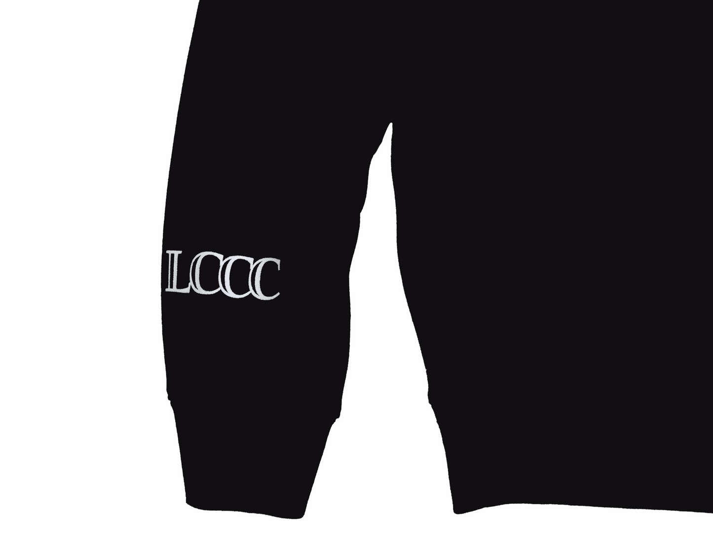 LCCC SKULL LOGO PULLOVER HOODIE